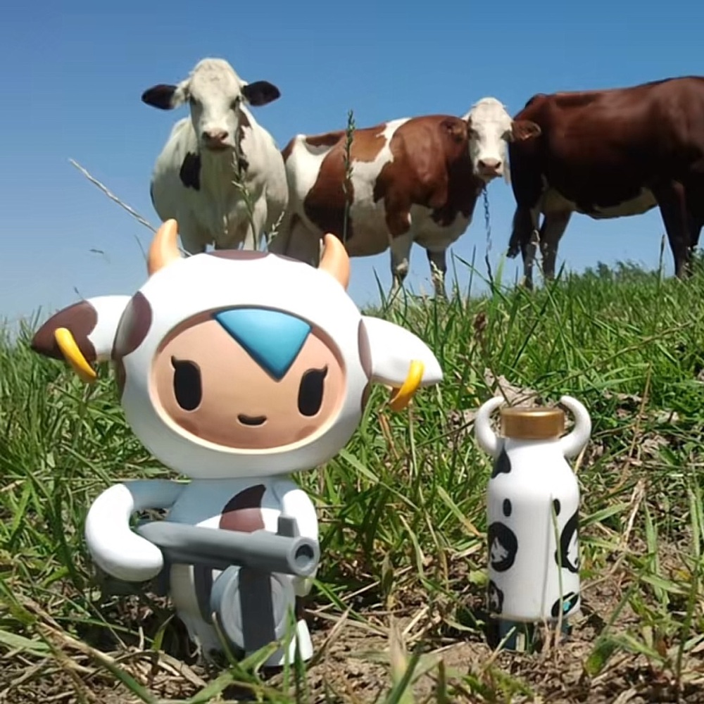 Meet your Posher, Mckayla